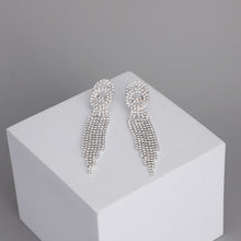 Load image into Gallery viewer, Silver Double Circle Fringe Earrings
